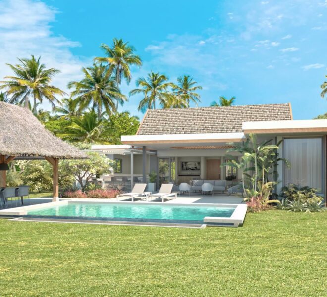 Villa-Tropicale-Pointe-dEsny